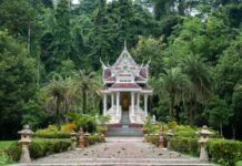 Tajski świątynny pawilon w gęstej dżungli w Chiang Dao